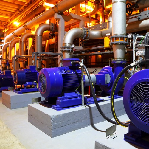 Bida Grain Color Sorter in Vietnam